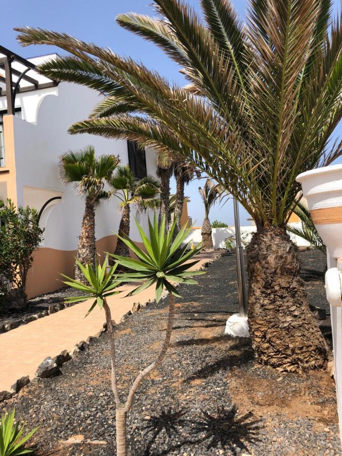 Apartamento Life Complex Amaya Fuerteventura Costa De Antigua Exteriér fotografie